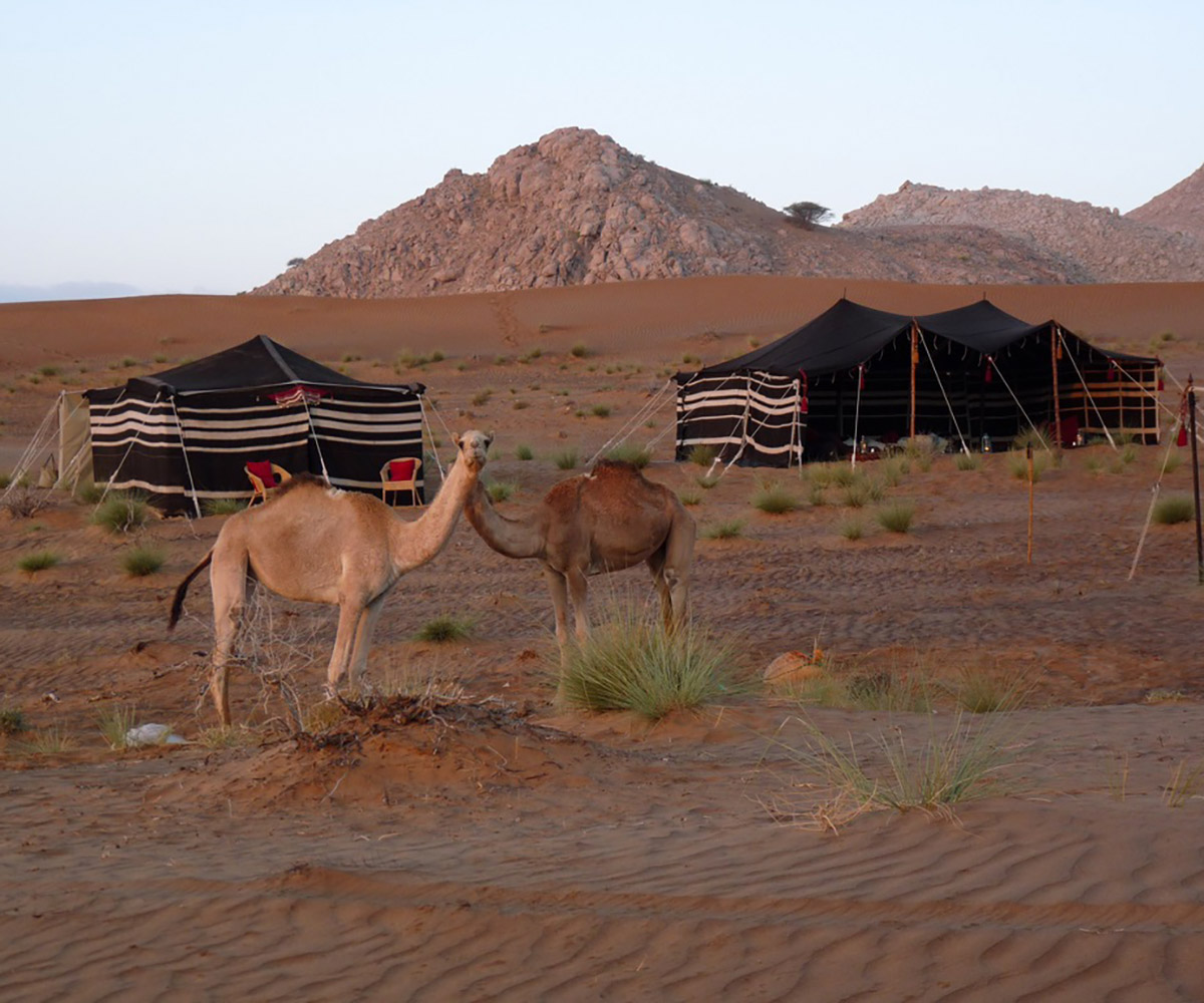 JOURNEYS - Northern Oman - Wahiba Sands